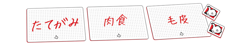 Image slot-6